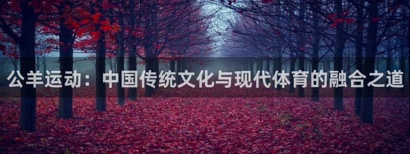 bsports官网 必一运动：公羊运动：中国传统文化与现代体育的融合之道
