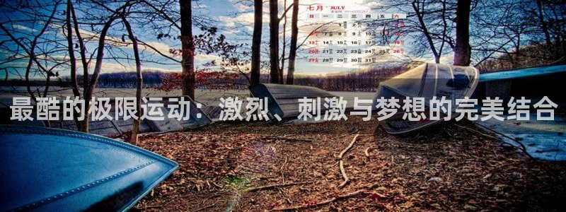 bsports必一运动：最酷的极限运动：激烈、刺激与梦想的完美结合