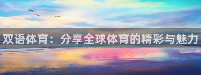bsport必一运动：双语体育：分享全球体育的精彩与魅力