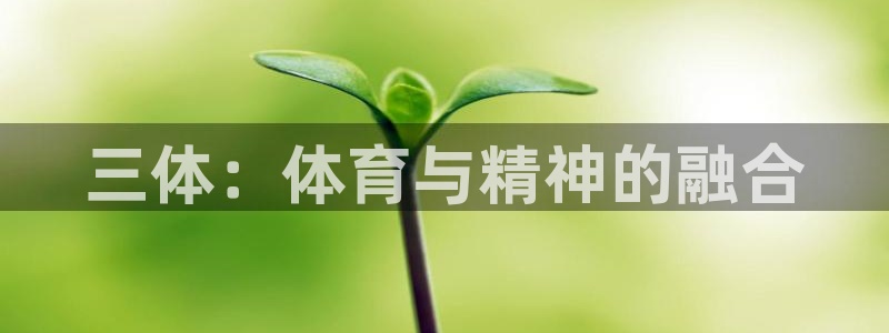 必一运动app：三体：体育与精神的融合