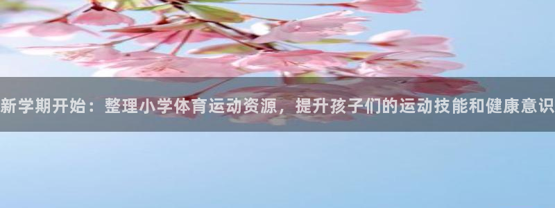 必一运动bsport体育：新学期开始：整理小学体育运动资源，提升孩子们的运动技能和健康意识