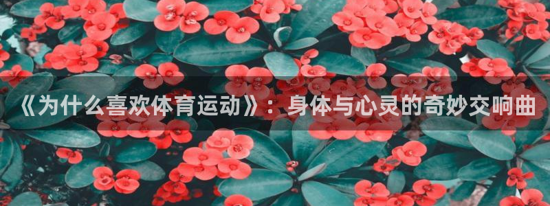 bsports官网 必一运动：《为什么喜欢体育运动》：身体与心灵的奇妙交响曲